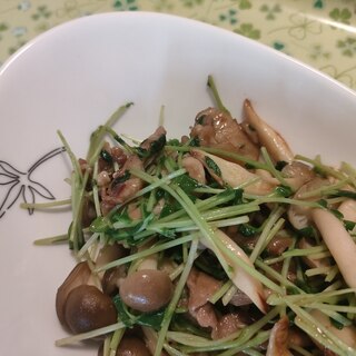 豚こまと豆苗の炒め物